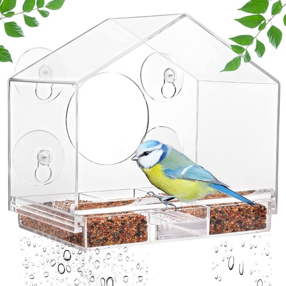 Acrylic Clear Window Bird Feeder Outside with Strong Suction Cups - Picture 6 of 6